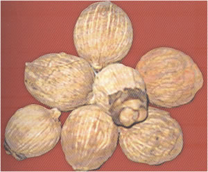 Information on experience about goddess lakshmi palam siri sampadalu